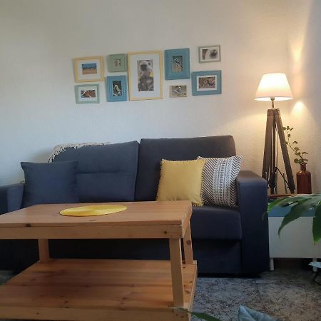 Bonito Y Coqueto Apartamento Cordoba Luaran gambar