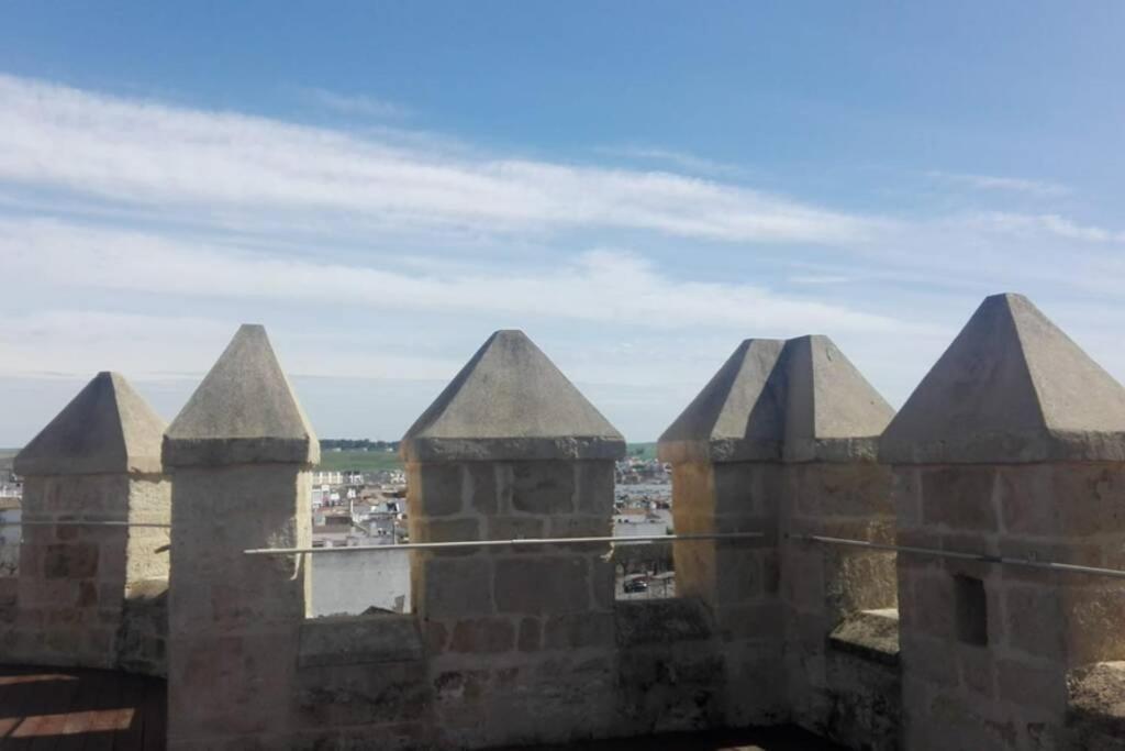 Bonito Y Coqueto Apartamento Cordoba Luaran gambar