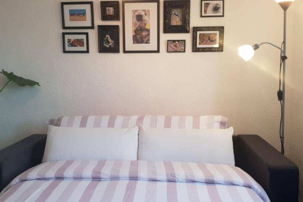 Bonito Y Coqueto Apartamento Cordoba Luaran gambar